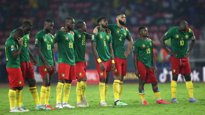 “Mèo tiên tri” và chuyên gia dự đoán kết quả trận Cameroon và Serbia