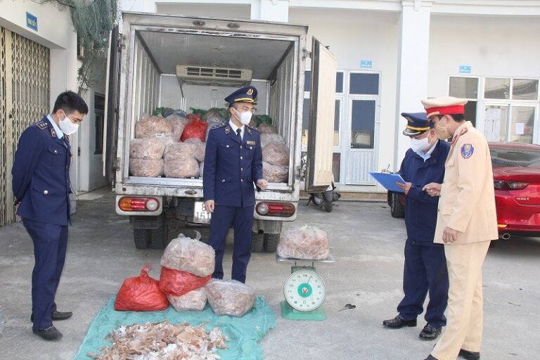 Xe chở 1,4 tấn bì lợn bốc mùi bị Công an Thanh Hóa bắt giữ