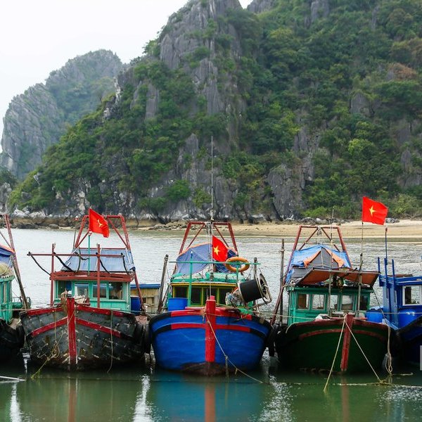 Gỡ “thẻ vàng” EC: Quản lý tàu cá vi phạm vùng biển nước ngoài là bài toán lớn