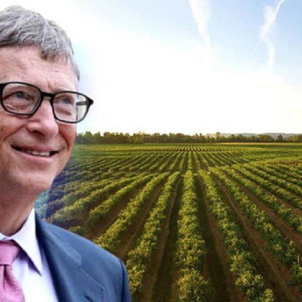 Bill Gates lần đầu giải thích lý do mua nhiều đất nông nghiệp ở Mỹ