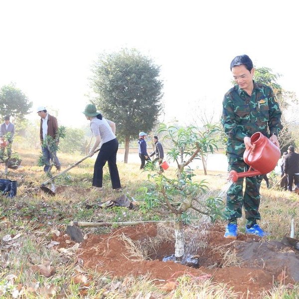 Đắk Lắk: Phát động trồng 500 gốc hoa đào để gợi mở hướng đi mới cho người dân