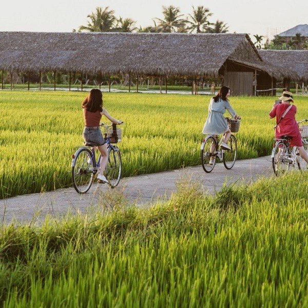 Đẩy mạnh phát triển du lịch nông nghiệp, nông thôn