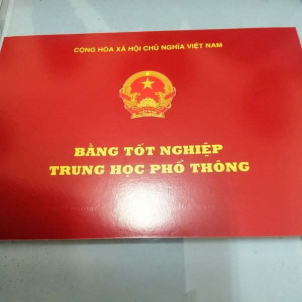 Một hiệu trưởng trường mầm non ở Hà Nội bị thu hồi bằng tốt nghiệp THPT