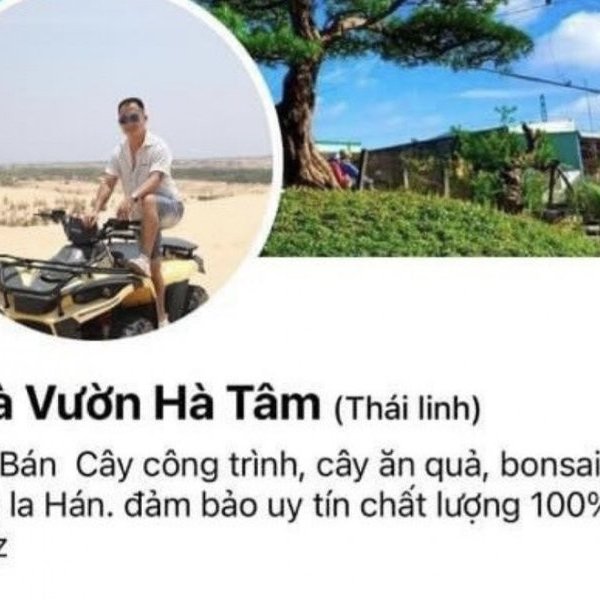 Hà Tĩnh: Bắt đối tượng lừa bán cây cảnh