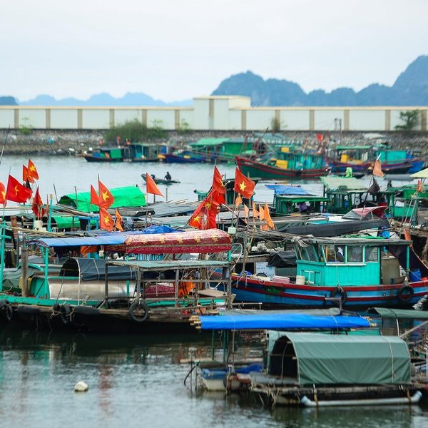 Đến năm 2030, đảm bảo 2,98 tấn thủy sản được thông qua cảng cá mỗi năm