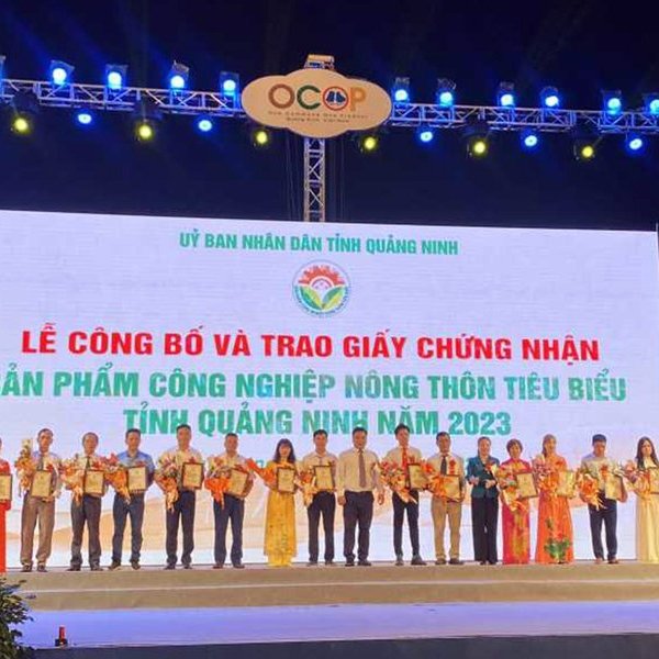 Quảng Ninh: Khai trương sàn thương mại điện tử OCOP