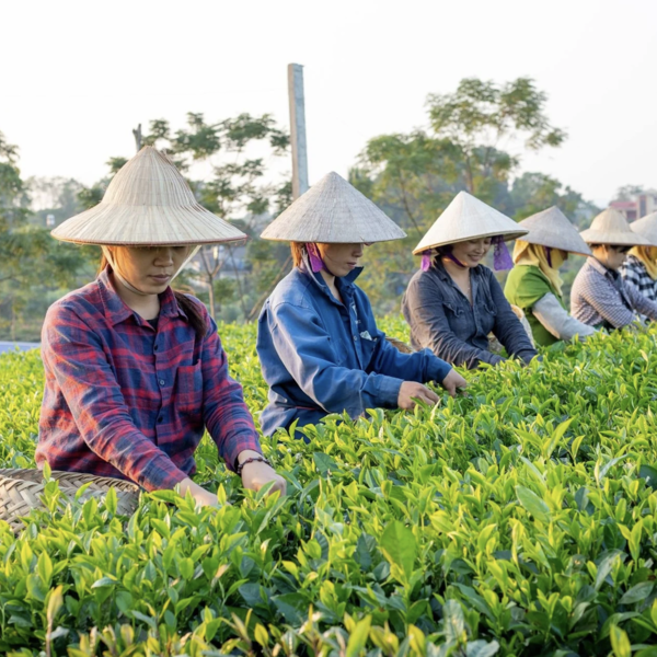 Phát triển kinh tế số phải đảm bảo an ninh mạng cho khu vực nông thôn