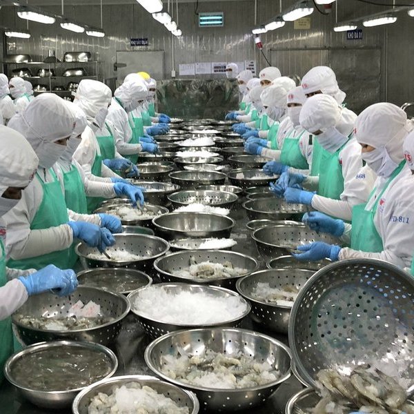 Kiên Giang: Kim ngạch xuất khẩu đạt 860 triệu USD