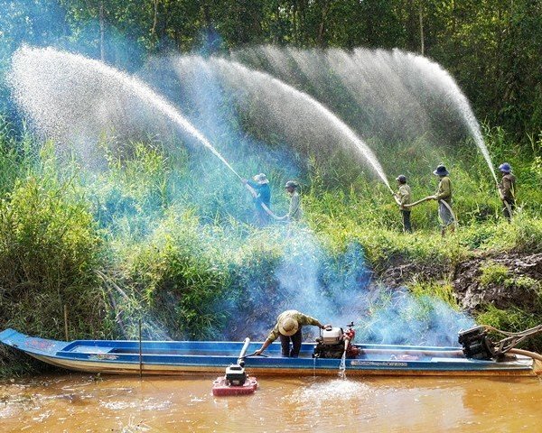 Cà Mau: Báo động cháy rừng cấp cực kỳ nguy hiểm